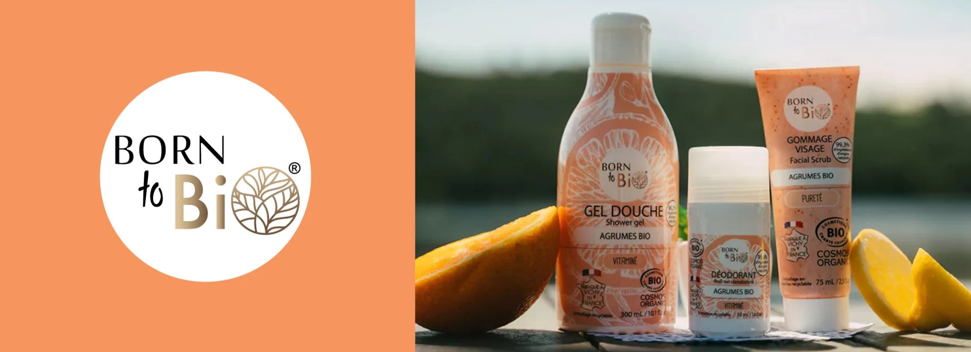 Snímek obrazovky 2026-02-26 193537